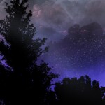 ─── ⋆ ⋅ ❍ ⋅ ⋆ ───