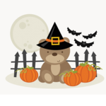 LogieBear’s Fan Group