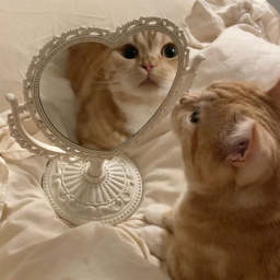 ♡