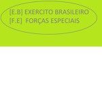 os operadores