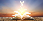 Apostolic and Holy group