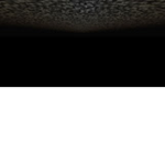 VOID Clan (Must have VOID in your name to join)