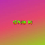 TRDestekGurup