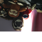 ~Sloths United ~