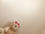 女子だけのグループ