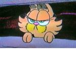 Wiggie wiggle