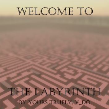 Labyrinth Simulator