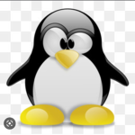 Rise of PENGI