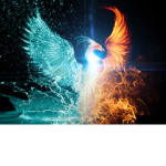 rebirth of the phoenix