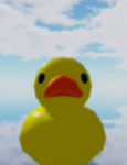 THE EPIC DUCKS!!
