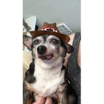 Bruhgret