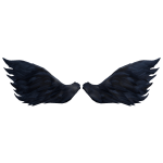☩ Midnight Angel Wings ☩