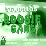 booger/boogie gang