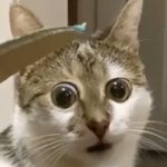 Azure Fields
