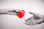 Charity Organizations