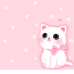 kitten plays
