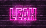 Leah cat fan