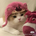 cat army (cat luvers)