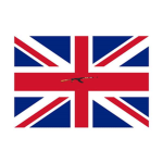 The British army {traing/ general group}