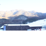 로벅주는 그룹(?)