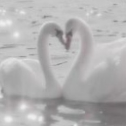 ♡