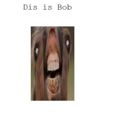 [UNBEATABLE] Bobby