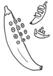 Bananaphone studios