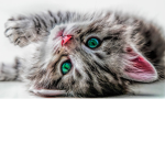 :3 smile@!