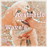 [Aesthetic wave’s]