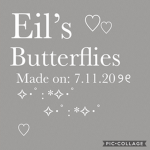 Eil’s Butterflies
