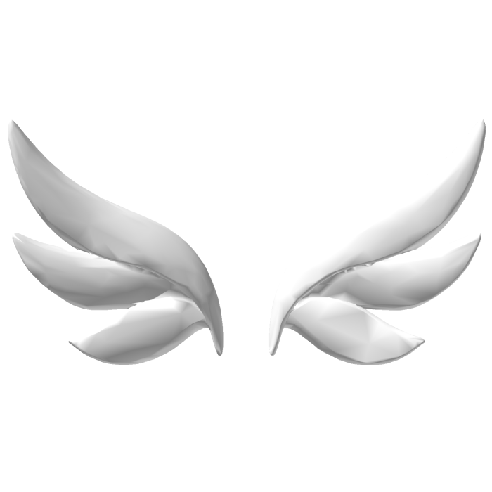 White Angel Wings