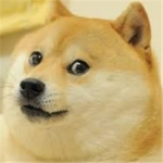 THE DOGE ARMY SQUAD