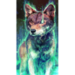 The dark wolf side