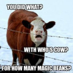 Cow is good food