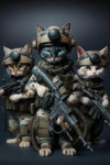 Cat Empire studios