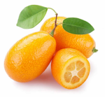 The Big Orange Kumquats