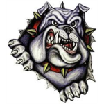- Detroit Bulldogs -