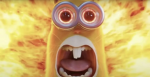 0XxcocoxX0
