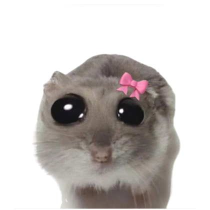 Cute Hamster Cape Roblox item