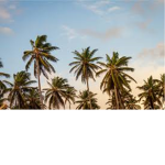 Hotel Tropic