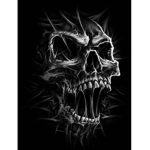 #### G r o u p