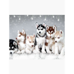 The White Husky's