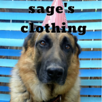 Sage's clothing by sagerib