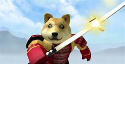 DOGE