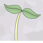 Plants! :)