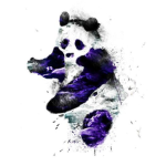 The PurplePandas