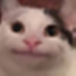 Beluga_LOL