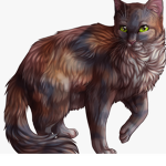 Warriors cats of Roblox