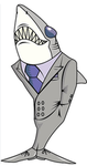 Sharkkkkkkk