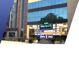 blueberry hotels [BETA]